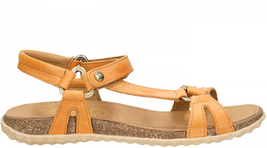 Caribeña Basics Vintage Napa Grass Caribeña Basics Vintage Napa Grass