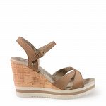 Estrella Basics