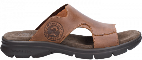 Robin Basics Cuero Napa Grass Robin Basics Cuero Napa Grass