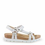 Sally Basics
