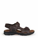 Salton Basics