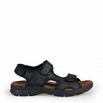 Salton Basics