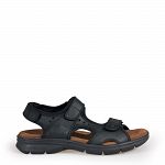 Salton Basics