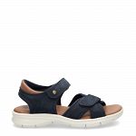 Sanders Navy
