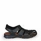 Sherpa Basics Black Napa Grass Sherpa Basics Black Napa Grass