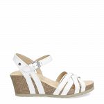 Vera Basics